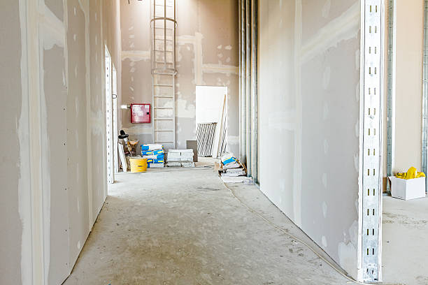 Best Black Mold Removal  in Aberdeen, ID